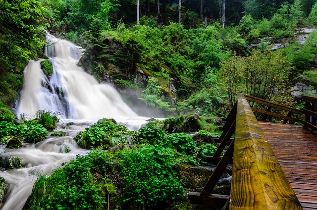 Wasserfall Triberg