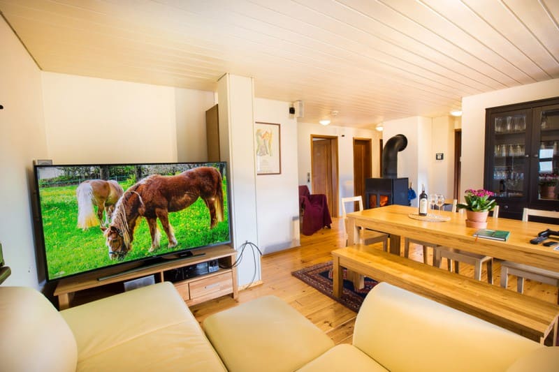 Ferienwohnung-Schwarzwald-Todtnauberg